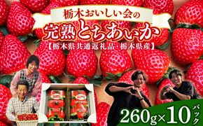 栃木おいしい会のいちご（とちあいか）260g×10パック（2600g）｜栃木県共通返礼品 栃木県産 ※2027年1月～発送