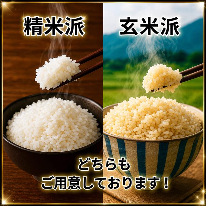 令和8年産 新米 キヌヒカリ 5kg (精米) 明田のお米 精米 お米 新米 南丹市 京都 新米26