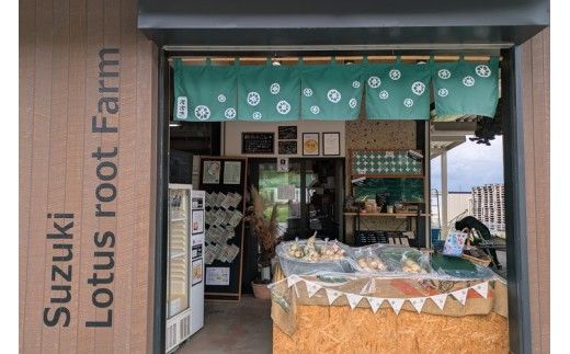 【訳あり】土浦市産 れんこん 2㎏　味で勝負！タップリ大満足！ すずき蓮根農園のご家庭用れんこん「竹 2キロ」 ｜ 産地直送 茨城県 レンコン 蓮根 野菜 シャキシャキ ※2026年8月～発送
