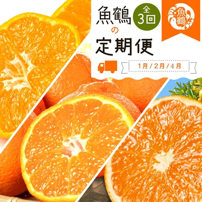 〈定期便〉【1・2・4月 全3回】紀州和歌山産旬の柑橘セット(みかん・不知火・清見)