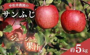 中松井農園のサンふじ　約5kg 長野 小諸 信州 リンゴ 林檎 果物類 りんご