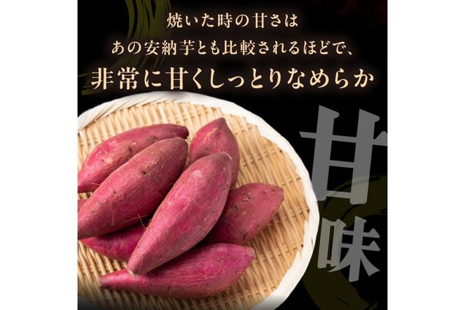【先行予約】丹後産　さつまいも　紅はるか3kg　2026年3月中旬～配送　AM00666_03