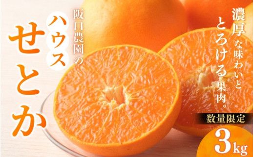 みかん せとか 阪口農園のハウスせとか 3kg (2L〜3L 9玉〜12玉) [先行予約][数量限定][2026年2月中旬〜3月中旬までに順次発送] せとか ハウスせとか みかん ミカン 蜜柑 柑橘 フルーツ 果物 くだもの 旬 産地直送 農家直送[msa001B]