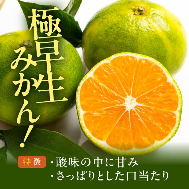MK1073_【2026年先行予約】みかん 極早生 箱込 2.5kg ( 内容量2.3kg ) おまかせサイズ（S/M/L）秀品・優品 の混合 有田みかん 和歌山県産