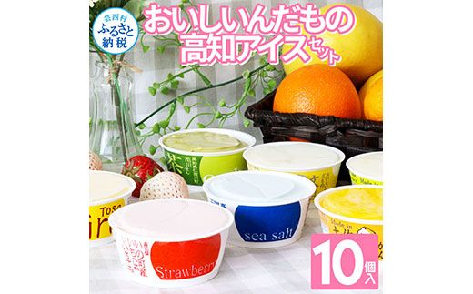 【CF-R7hbk】TKA015　おいしいんだもの 高知アイスセット／高知の素材にこだわった人気アイスのアソートセットです。故郷納税 11000円 2022 食べ物 ギフト 詰め合わせ シャーベット スイーツ お菓子 プレゼント 濃厚 バニラ アイスクリーム 塩 いちご 苺 お茶 文旦 ゆず