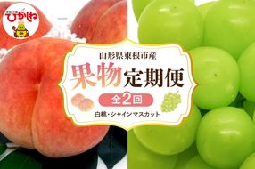 【2025年先行予約 全2回 定期便】東根市産 桃、シャインマスカット 果物定期便 （玉数、房数お任せ）　hi074-004-2