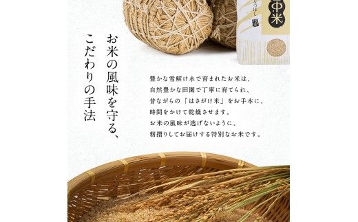 令和8年産【定期便隔月3ヶ月】 特Aランク米 ゆめぴりか 精米 20kg（5kg×4袋）【12月発送】雪冷気 籾貯蔵 雪中米 北海道 nr-1748