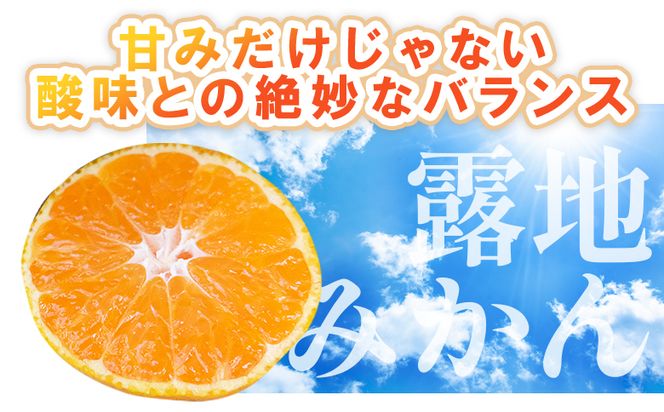 【3回定期便】ふじ農園の露地みかん 訳あり品 5kg(2S～M) 国産 小玉 蜜柑 ミカン 柑橘 果物 フルーツ 訳アリ ご家庭用 自宅用 ふじ農園 高知県 香南市 Wfn-0022