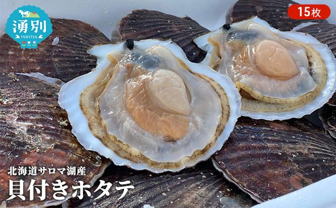 【国内消費拡大求む】先行予約 北海道 サロマ湖産　貝付き ホタテ 15枚 帆立 ほたて 刺身 海鮮 魚介 国産 殻付き 冷蔵 オホーツク 魚貝類 貝付きホタテ 魚介類