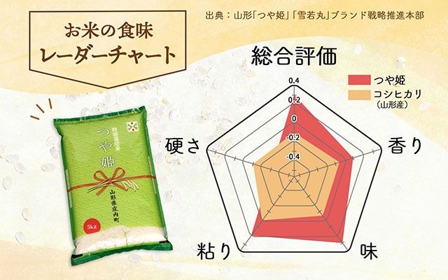 庄内町産 つや姫 10kg 5kg×2袋 令和7年産 2025年産 ブランド米 コシヒカリの原点、亀の尾発祥の地 庄内