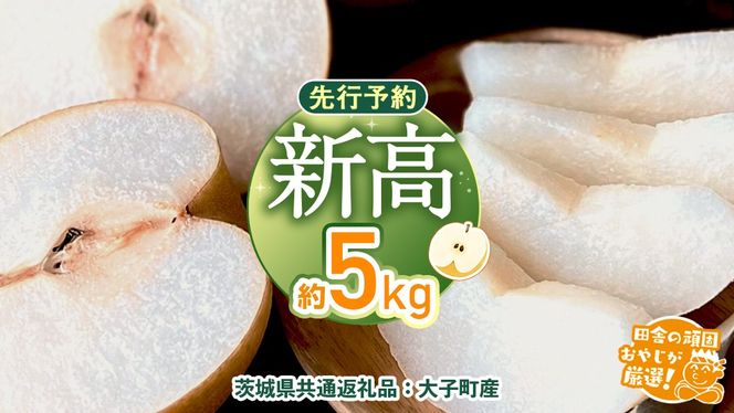 梨 新高 約 5kg 【2026年10月より発送開始】（茨城県共通返礼品 [梨]：大子町産）田舎の頑固おやじが厳選！ なし 新高梨 和梨 フルーツ 果物 くだもの 高糖度 ギフト 茨城 [BI306-NT]