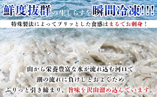 生しらす 6パック 計420ｇ 小分け 特製タレ付 国産 早い 特選 特製タレ付 料理 アレンジ しらす シラス 生シラス 稚魚 魚介 魚 海産物 鮮度抜群 瞬間冷凍 やみつき ごはんのお供 fa-0007
