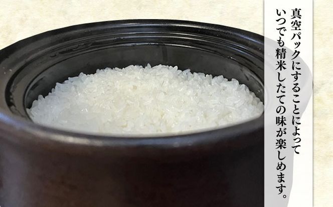 【年内発送】【令和7年産新米】【長期保存可能】 五ツ星お米マイスターが厳選 品種おまかせ 白米 5kg 糸島市 / 納富米穀店[ARL005] 米 お米 ご飯 白米 九州 5キロ 真空パック 長期保存 五つ星お米マイスター