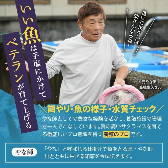 本桜鱒スモークサーモン3種食べ比べセット N0116-YA3363