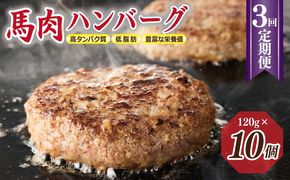 099Z316 【定期便】 桜文 馬肉ハンバーグ 120ｇ×10個 全3回 【毎月配送コース】