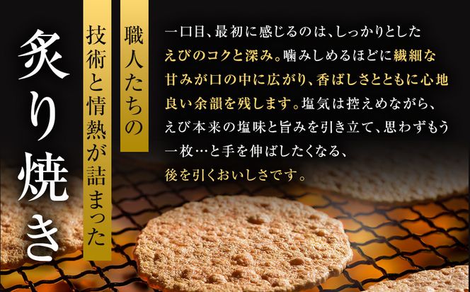 桂新堂 炙り焼き詰合せ（27袋入） 232238_Z025-PR