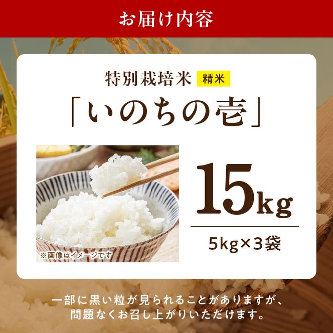 【R8年産新米 先行受付】特別栽培米「いのちの壱」（15kg）＜農家直送＞ ［208K03］ 希少米 15kg 米 新米 精米 白米 ご飯 国産 産地直送 甘い 粘り強い もちもち お取り寄せ こだわり米 愛知県 小牧市 送料無料
