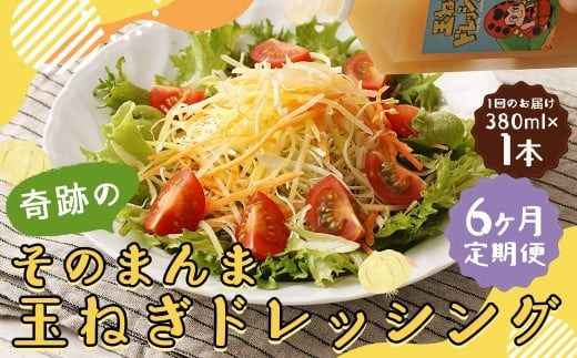 yÖszy6ցz Ղ̂̂܂ ʂ˂hbVO 380ml v6{ hbVO  Y mIC