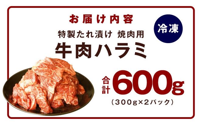 mrz0388 【お試し】牛肉 ハラミ 600g（300g×2P）【氷温熟成×特製ダレ】