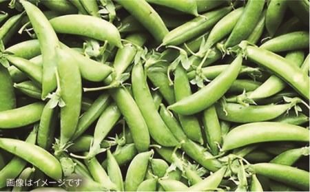 【全12回定期便】【福岡県糸島産】朝採れ 野菜 セット (10品前後) 《糸島》【オーガニックナガミツファーム】[AGE012]