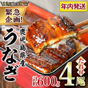 【0234317a】【緊急企画！数量限定】鰻の蒲焼(無頭)(4尾・計約600g・タレ、山椒付) うなぎ ウナギ 鰻 国産 蒲焼 蒲焼き たれ 鹿児島 ふるさと 人気 支援【アクアおおすみ】