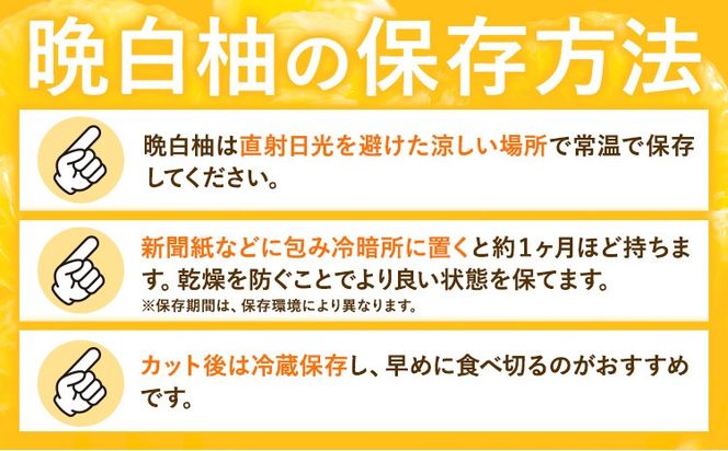 柑橘 晩白柚 選べる L 2L 3L 1玉 ～ 6玉 約1.5kg～10kg 日本フルーツ株式会社《12月上旬-2月末頃出荷》熊本県 氷川町 ばんぺいゆ 果物 フルーツ 大玉 爽やか 甘み 酸味 香り 常温保存 柑橘類 冬 果肉 プリッ 食べ応え---hkw_nhf_1_1500g---