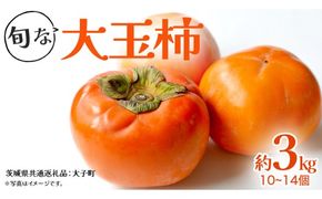 旬な大玉 柿 約3kg 10～14個 【2026年10月上旬発送開始】(茨城県共通返礼品：大子町) 柿 かき カキ 果物 フルーツ 旬 季節限定 期間限定