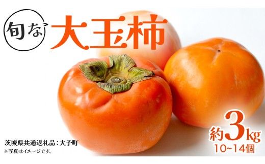 旬な大玉 柿 約3kg 10～14個 【2026年10月上旬発送開始】(茨城県共通返礼品：大子町) 柿 かき カキ 果物 フルーツ 旬 季節限定 期間限定