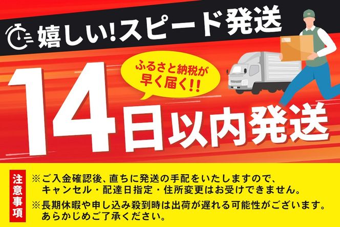 【14日以内発送！】佐賀牛入り ハンバーグ 18個(120g×18個)【佐賀牛 黒毛和牛 ブランド牛 九州 ハンバーグ 牛肉 豚肉 国産 お弁当 おかず 惣菜 おすすめ 人気】(H083107)