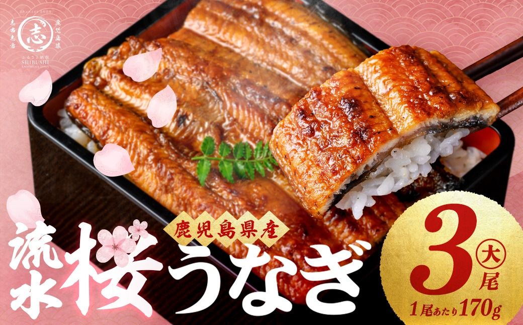 [入金確認後、2週間以内に発送!] 熟練の技が冴える!うなぎの柳澤 至極うなぎ蒲焼き3尾(計510g) b2-016-2w
