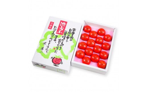 【先行予約】フルーツトマト特選ギフト 約800g <2027年1月〜発送> / 特Aランク トマト フルーツトマト 池トマト 糖度10度以上 高糖度 高知県産 ギフト 箱入り 贈答用 贈り物 健康【池トマト】[BQAG024]
