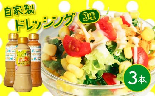 ドレッシング 3種 3本 セット 自家製 クリーミー アーモンド トマト 焙煎ごま ピスタチオ オリーブオイル サラダ リンゴ酢 静岡県 藤枝市 [PT0193-000004]