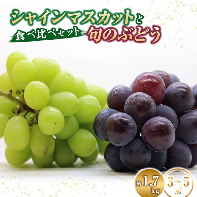 【A049先行予約受付・産直もぎたて】新鮮ぶどう詰め合わせ（シャインマスカットと旬のぶどう）1.7kg（果実 フルーツ ぶどう マスカット 2024 先行予約 人気 限定 宮崎 小林市）