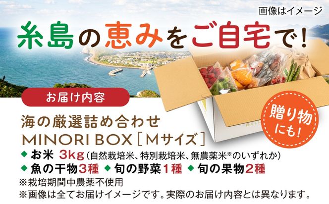 糸島産 魚 米 野菜 果物 厳選詰め合わせ MINORI BOX Mサイズ 糸島市 / emma.Inc / 米 魚 野菜 果物 詰め合わせ[AOP023]