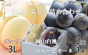 桃 ぶどう 2026年 先行予約 岡山 白桃 エース 2玉×約300g（3Lサイズ、早生種・中生種）ニュー ピオーネ 1房約600g  詰め合わせ 岡山県産 フルーツ 