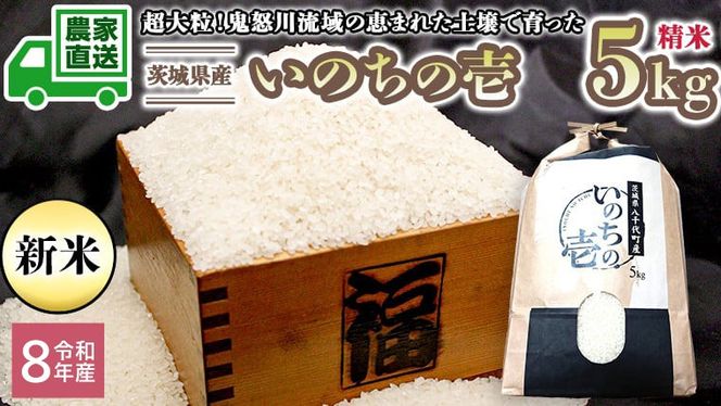 【選べる 玄米 精米】令和8年産 新米 茨城県産 いのちの壱 5kg 米 こめ コメ 農家 直送 こだわり お米 おこめ 茨城 [BG017ya] [BG018ya]