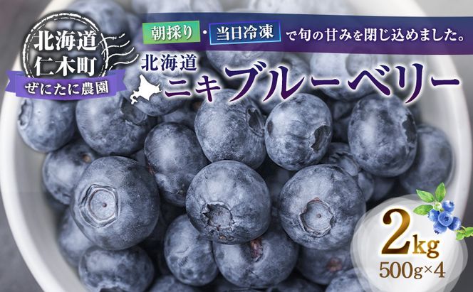 先行予約【朝採り】当日冷凍「北海道ニキブルーベリー」2kg（500g×4）サイズ混載 果物 くだもの 冷凍 フルーツ ブルーベリー 北海道 仁木［ぜにたに農園］