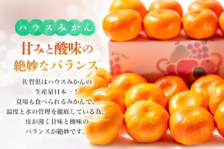 【先行受付 令和8年6月より発送開始】佐賀県産『ハウスみかん』約2500g【果物 フルーツ みかん 柑橘 ビタミン デザート ふるさと納税】(H108115)