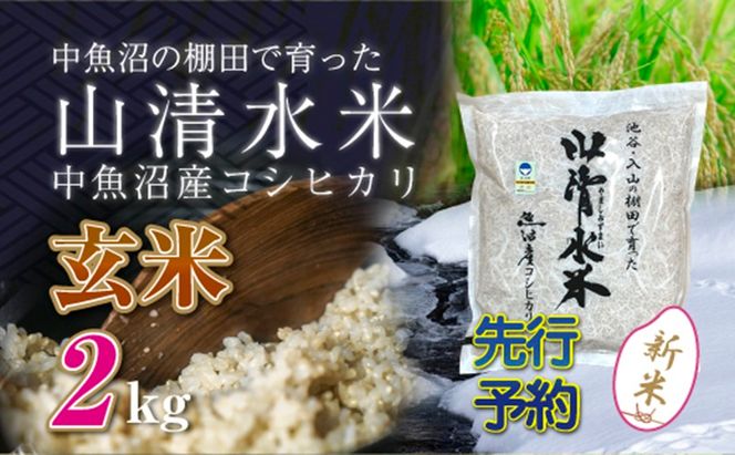 【令和8年産 先行予約】新潟県魚沼産コシヒカリ「山清水米」玄米2kg