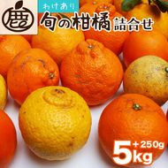＜1月より発送＞家庭用 柑橘詰合せ5kg+250g（傷み補償分）◇【訳あり・わけあり】【有田の春みかん詰め合わせ・フルーツ詰め合せ・オレンジつめあわせ】【光センサー選別】 ※北海道・沖縄・離島への配送不可 ※2026年1月上旬～4月下旬頃に順次発送予定