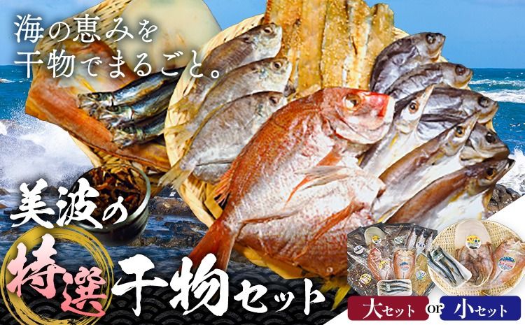 はまみや海産 美波 の 特選 干物セット 選べるセット 大 小[30日以内に出荷予定(土日祝除く)]徳島県 佐那河内村 干物 ひもの みりん干し 一夜干し---sanagouchi_hmk_2_hss--
