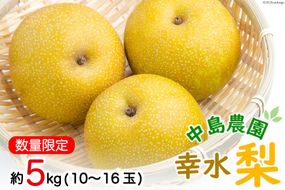 BH005 【令和9年度出荷分】【数量限定】 幸水梨 約5kg（10玉～16玉） [新鮮 農家直送 夏の味覚 フルーツ 贅沢宝庫 長崎県 島原市]
