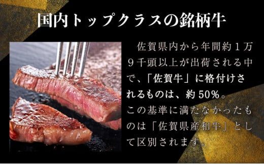 佐賀牛 サーロインステーキ 200g～600g B-954