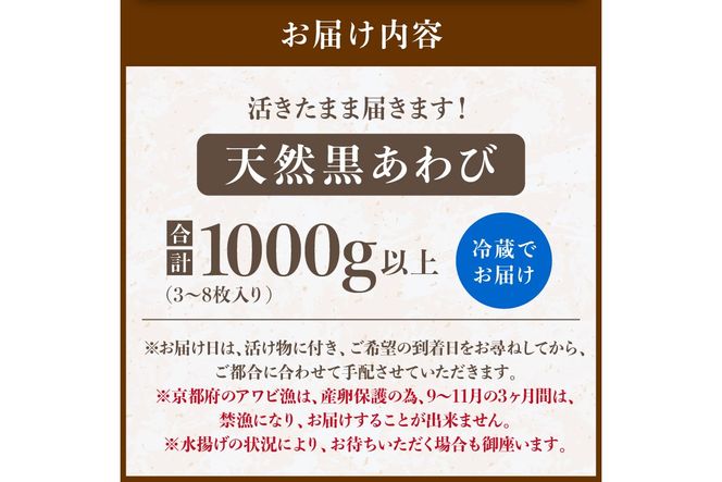 活きたまま届きます！ 天然黒アワビ 海水に酸素入りの特殊梱包 1000g入りおすすめセット　UO01022