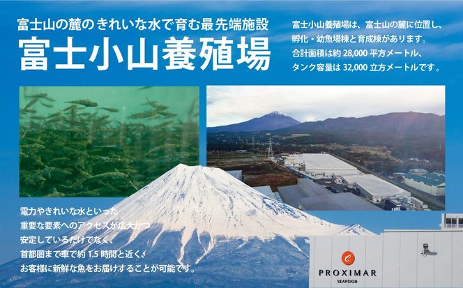 国産 静岡県小山町産 アトランティックサーモン 冷凍 グラブラックス 約100g×4パック