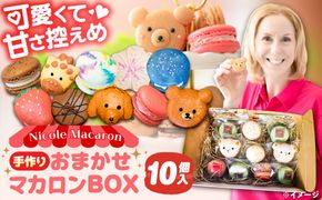 おまかせ マカロン ボックス 10個入 マカロン 焼菓子 スイーツ 愛西市 / ニコールマカロン[AEDA001]