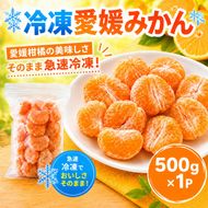 冷凍愛媛みかん 500g×1袋 冷凍みかん みかん ミカン 愛媛みかん 蜜柑 柑橘 かんきつ 冷凍ミカン 冷凍柑橘 アイス スムージー シャーベット みかん職人武田屋 愛媛県 愛南町
