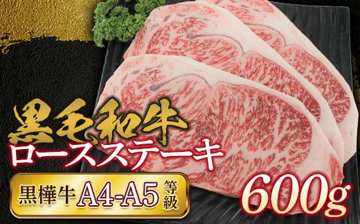 FKK19-170_黒毛和牛　黒樺牛A4～A5等級　ロースステーキ600g 熊本県 嘉島町