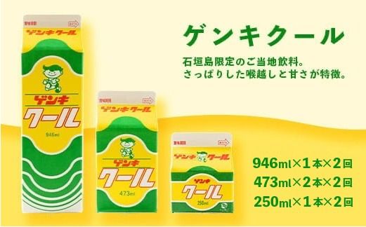 【ふるさと納税限定】【定期便_2回】八重山ゲンキ乳業 オールスターセット【八重山ゲンキ乳業】【ゲンキ牛乳】【石垣島のソウルドリンク ゲンキクール】【ゲンキカフェ】【さんぴん茶ミルクティー】GN-2_2t