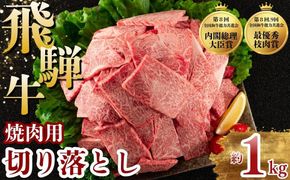 飛騨牛 焼肉 切り落とし 1kg | 牛肉 肉 切落し 飛騨牛 訳あり 訳アリ わけあり ワケアリ 不揃い 冷凍 まるたか 食品 バーベキュー BBQ 家用 家庭用 岐阜 瑞穂市